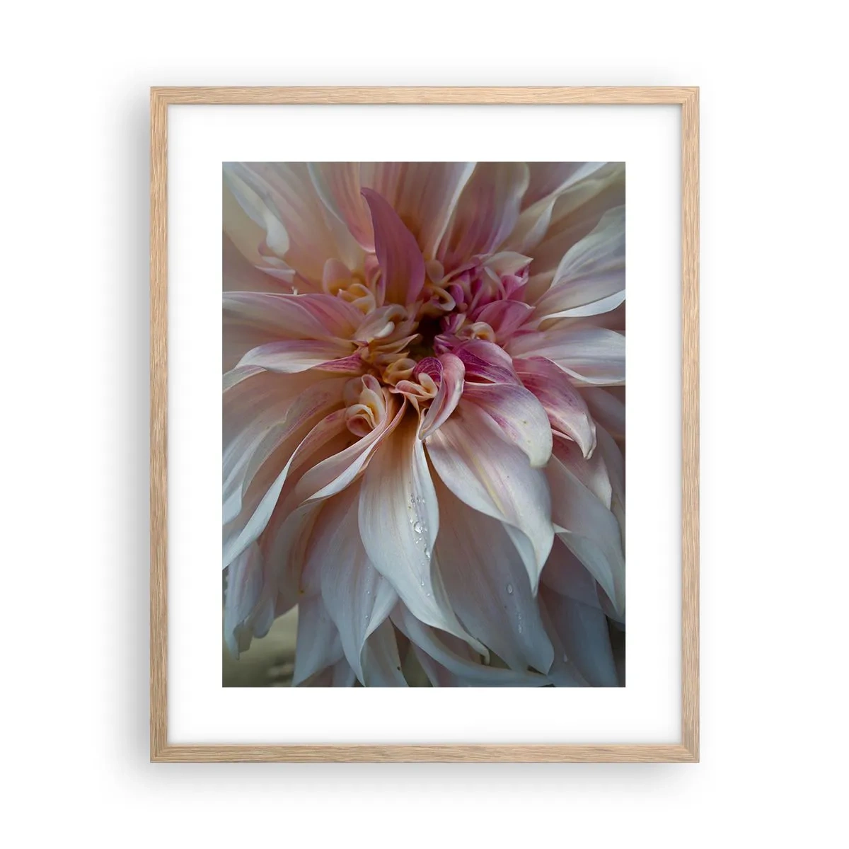 Poster in cornice rovere chiaro - Freschezza in fiore - 40x50 cm