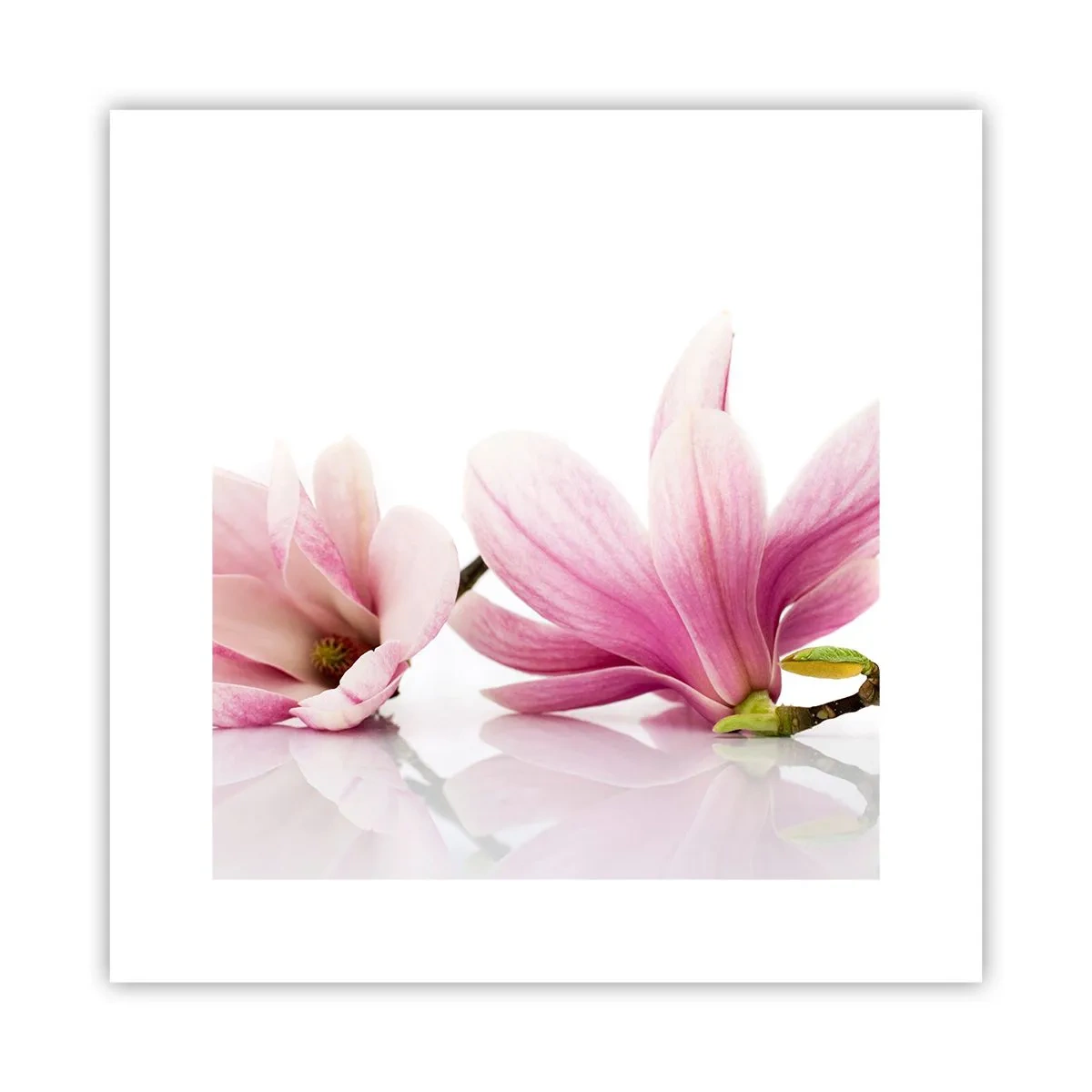 Poster - Delicati come un soffio di primavera - 30x30 cm