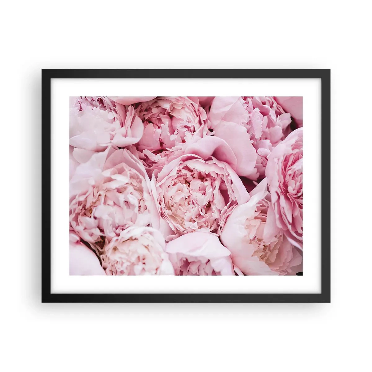 Poster in cornice nera - Morbide e profumate - 50x40 cm