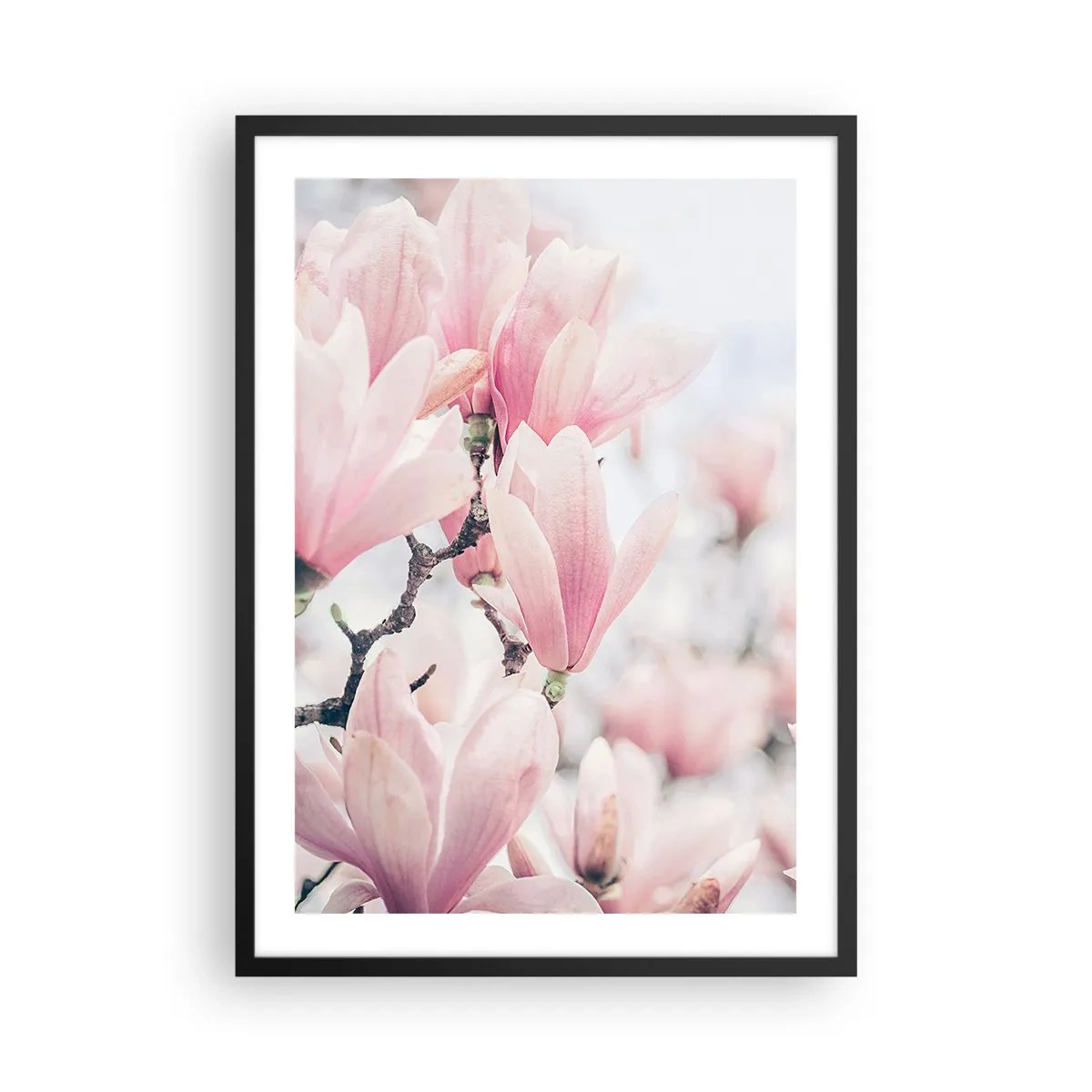 Poster in cornice nera - Magnolie rosa in una delicata cornice primaverile - 50x70cm - Ideale di delicatezza - Decorazione murale moderna per soggiorno e camera da letto ARTTOR