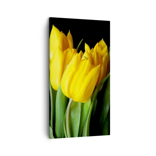 Quadro su tela - Stampe su Tela - Fatti di puro sole - 45x80 cm