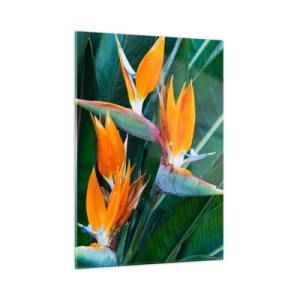 Quadro su vetro - Fiori esotici di strelitzia tra grandi foglie verdi - 50x70cm - È un fiore o un uccello? - Decorazione murale moderna per soggiorno e camera da letto ARTTOR