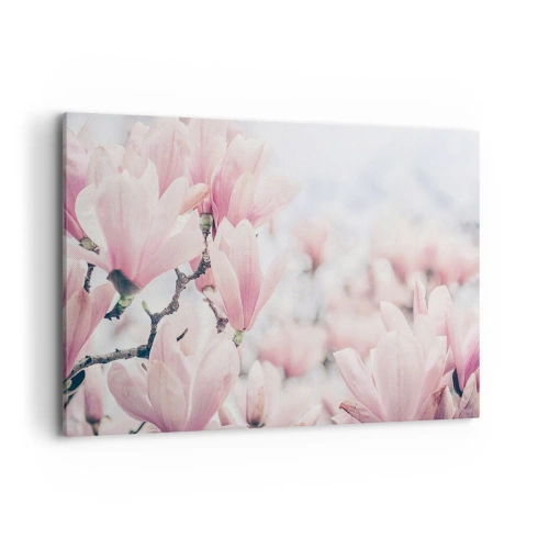 Quadro su tela - Stampe su Tela - Delicati fiori di magnolia in delicate tonalità rosa - 120x80cm - Ideale di delicatezza - Decorazione murale moderna per soggiorno e camera da letto ARTTOR