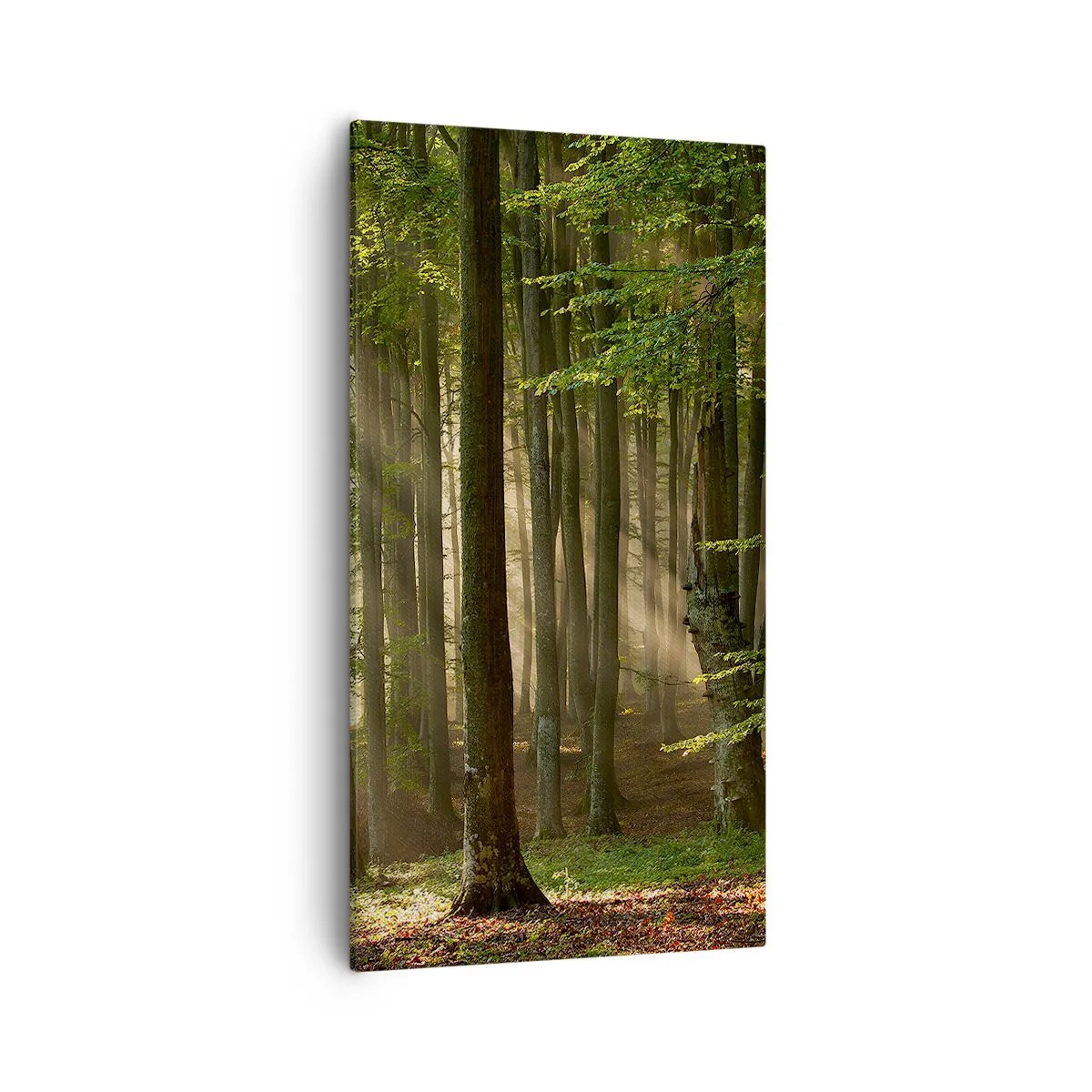 Quadro su tela - Stampe su Tela - Raggiante in un mattino di primavera - 55x100 cm