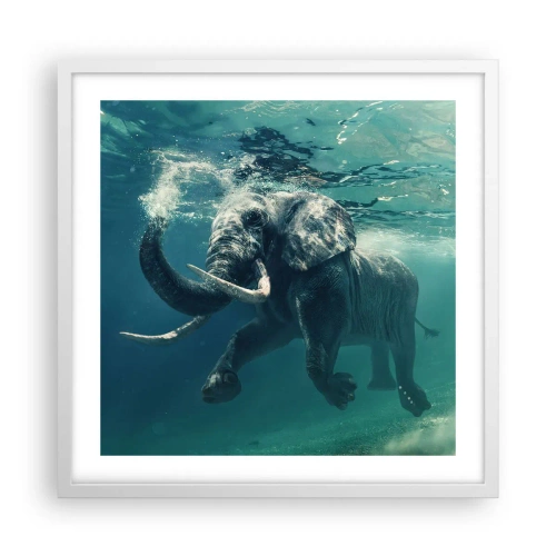 Poster in cornice bianca - Tutti amano nuotare - 50x50 cm