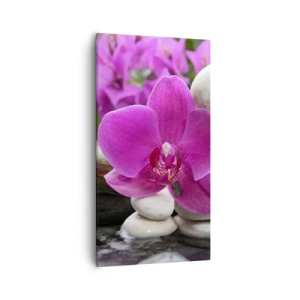 Quadro su tela - Stampe su Tela - E già ti riposi - 55x100 cm