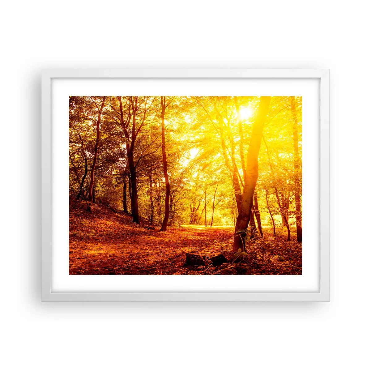 Poster in cornice bianca - Verso la radura dorata - 50x40 cm