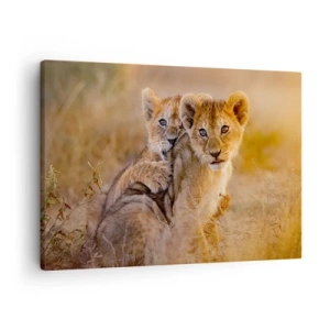 Quadro su tela - Stampe su Tela - Adorabili cuccioli di leone nel loro ambiente naturale - 70x50cm - Non disturbare! Giochiamo - Decorazione murale moderna per soggiorno e camera da letto ARTTOR