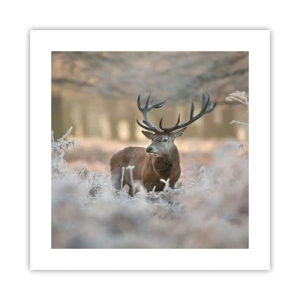 Poster - Fresco mattino - 40x40 cm