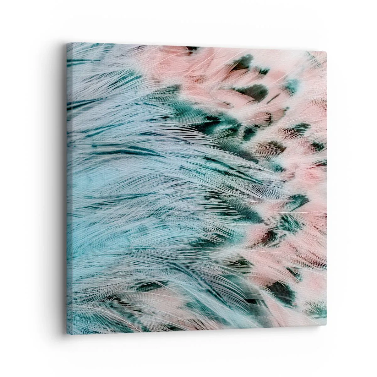 Quadro su tela - Stampe su Tela - Piumino rosa zaffiro - 30x30 cm
