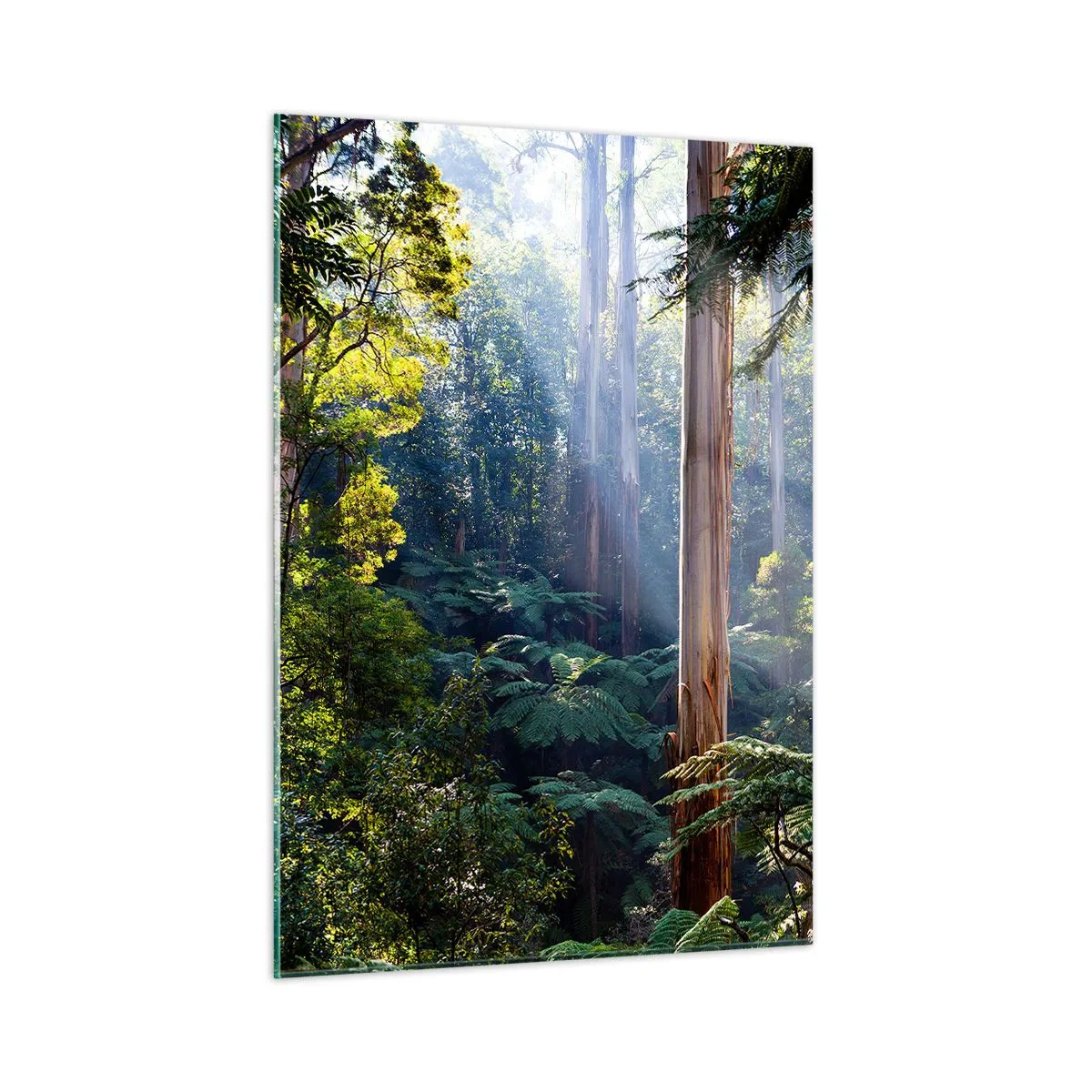 Quadro su vetro - Foresta tropicale verde con raggi di sole - 50x70cm - La favola del bosco - Decorazione murale moderna per soggiorno e camera da letto ARTTOR