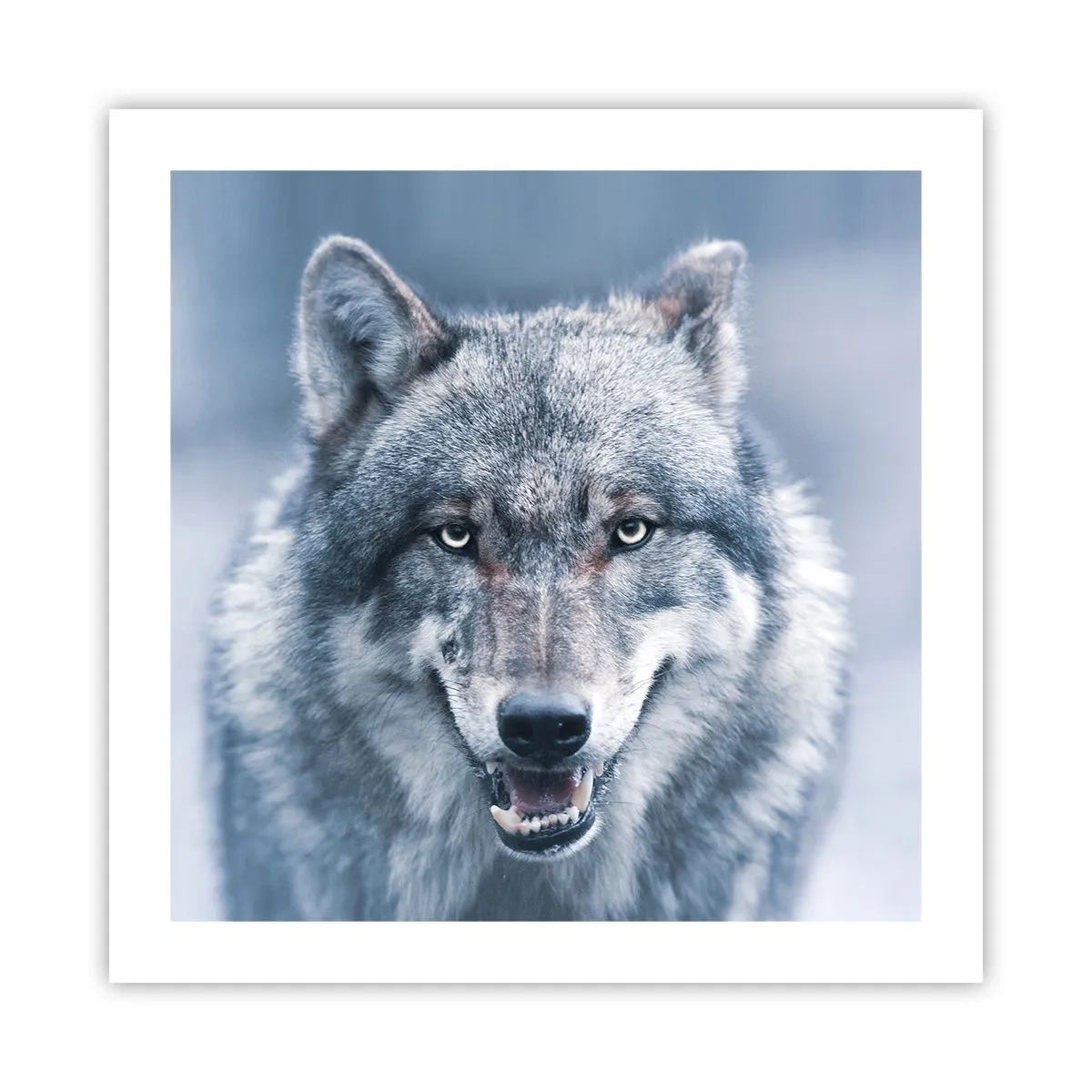 Poster - Accetti la sfida? - 50x50 cm