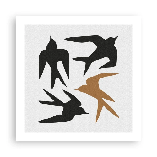 Poster - Giochi di rondini - 50x50 cm