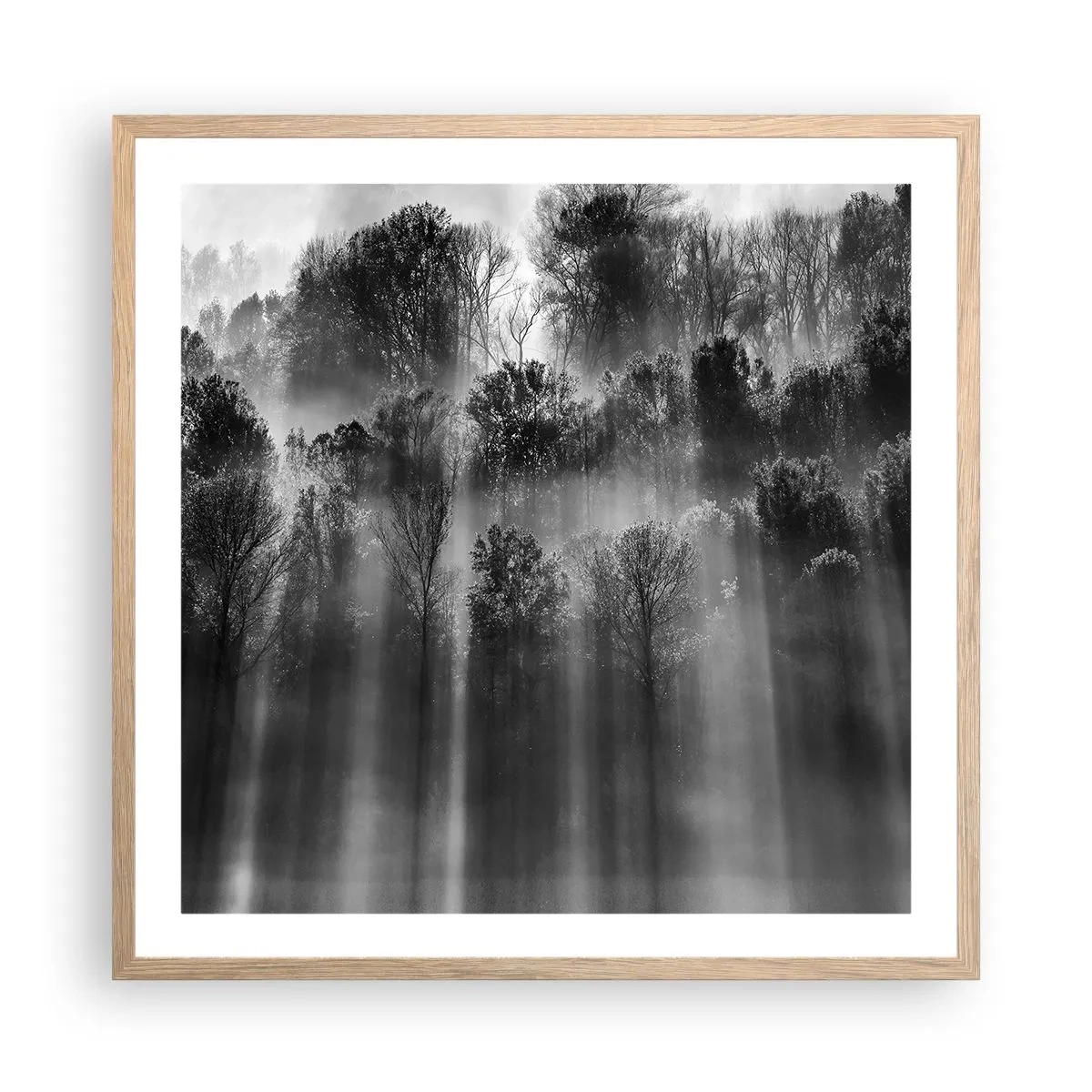 Poster in cornice rovere chiaro - Nei getti di luce - 60x60 cm