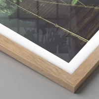 Rovere chiaro