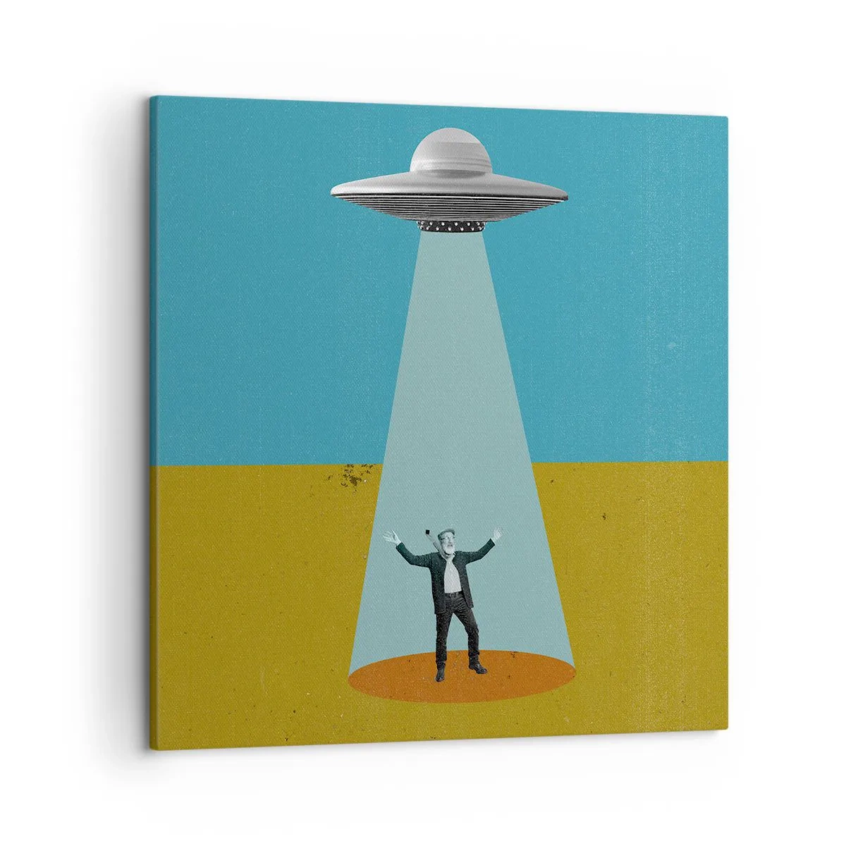 Quadro su tela - Stampe su Tela - Incontro ravvicinato - 50x50 cm