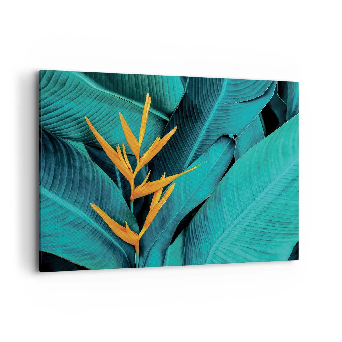 Quadro su tela - Stampe su Tela - Un fiore esotico su uno sfondo di foglie di banano in tonalità turchesi. - 120x80cm - Il fiore dell'Eden - Decorazione murale moderna per soggiorno e camera da letto ARTTOR
