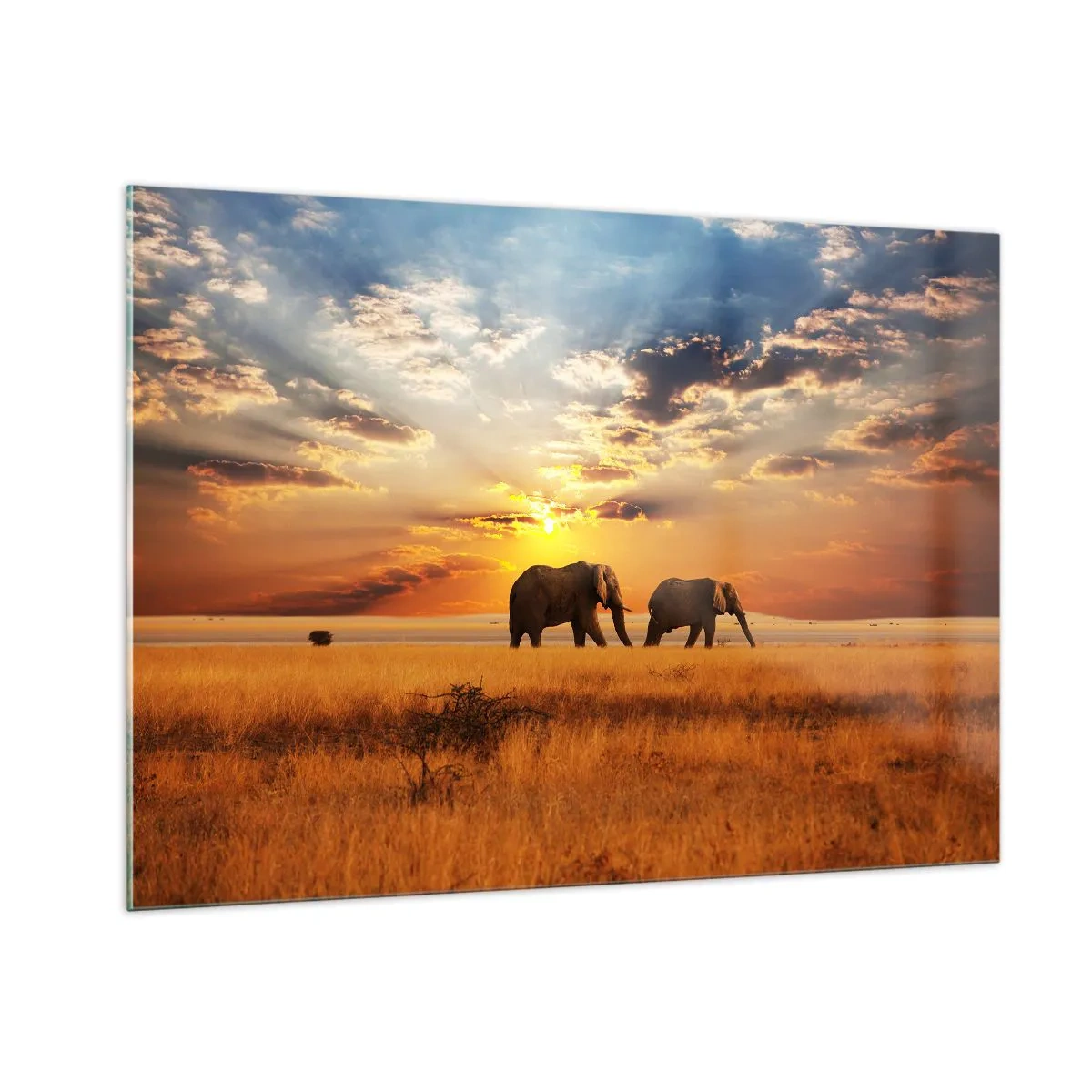 Quadro su vetro - Elefanti nella savana africana al tramonto - 100x70cm - Passeggiata familiare - Decorazione murale moderna per soggiorno e camera da letto ARTTOR