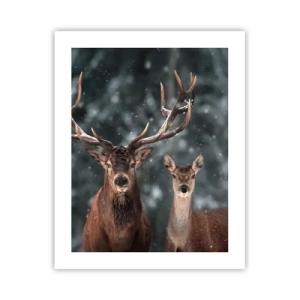 Poster - Il re della foresta con la consorte - 40x50 cm