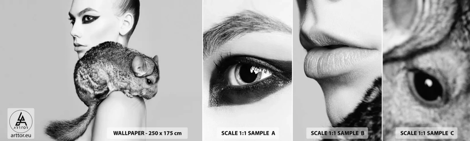 Campione Di Fotomurale Standard Eco - Dama con il cincillà - Donna, Donna Con Cincillà, Modello - 100x30 cm