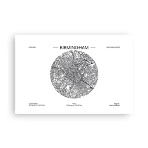 Poster - Anatomia di Birmingham - 91x61 cm