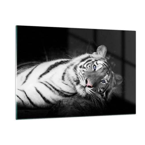 Quadro su vetro - Una tigre bianca con gli occhi azzurri in un ambiente bianco e nero - 120x80cm - Selvaggità e pace - Decorazione murale moderna per soggiorno e camera da letto ARTTOR
