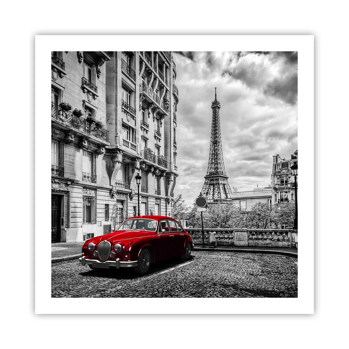 Poster - Predatore in città - 60x60 cm