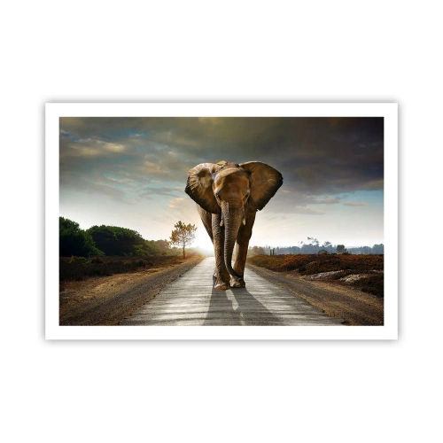 Poster - E non nel negozio di cristalli - 91x61 cm