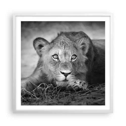 Poster in cornice bianca - Cucciolo reale - 60x60 cm