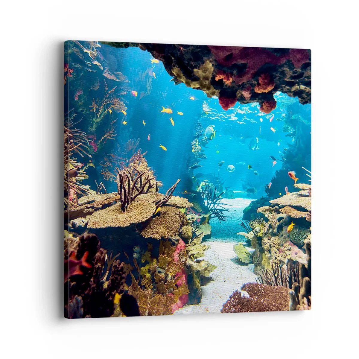 Quadro su tela - Stampe su Tela - Non lo avresti neanche sognato - 40x40 cm