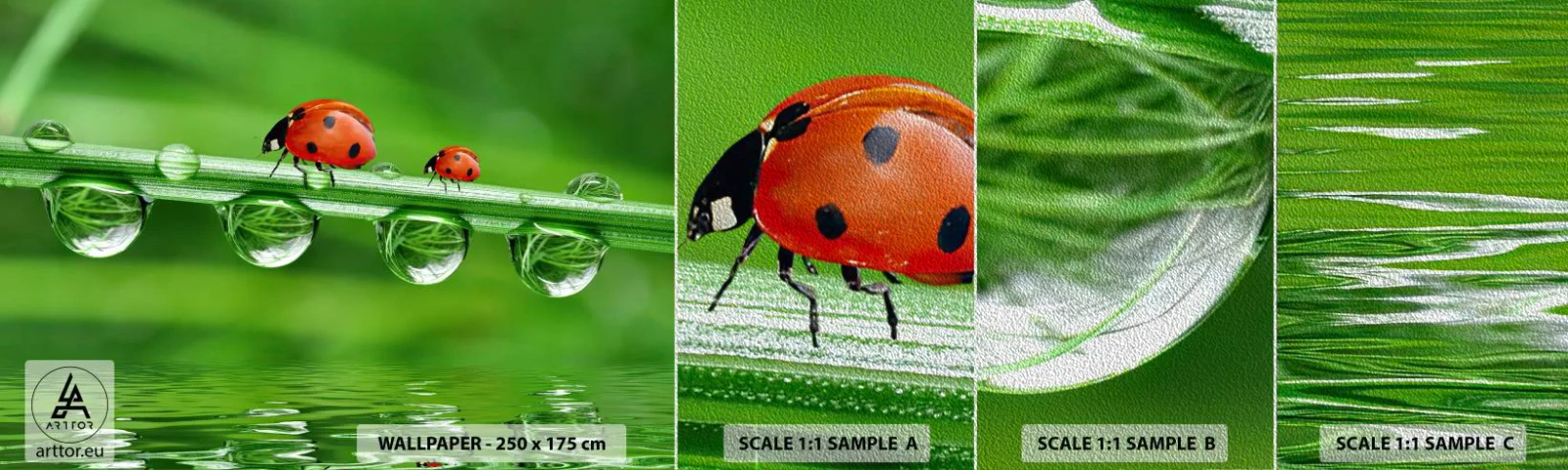 Campione di Fotomurale Premium Sand - In cammino per tutta l'estate - Coccinella, Una goccia d'acqua, Natura - 100x30 cm