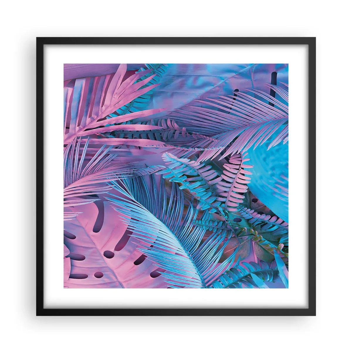 Poster in cornice nera - Tropici in rosa e blu - 50x50 cm