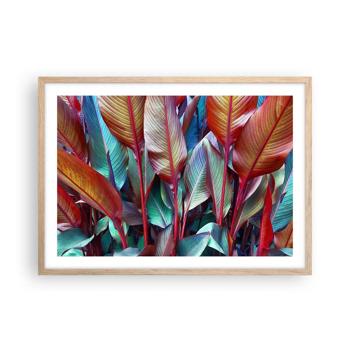 Poster in cornice rovere chiaro - Selva colorata - 70x50 cm
