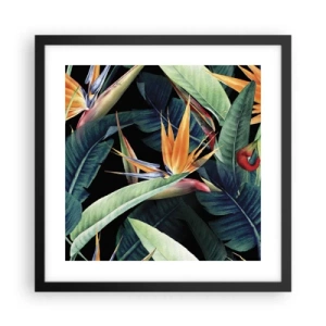Poster in cornice nera - I fiori fiammeggianti dei tropici - 40x40 cm