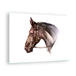 Quadro su vetro - Ritratto di cavallo in stile artistico su sfondo bianco - 70x50cm - Che grazia - Decorazione murale moderna per soggiorno e camera da letto ARTTOR