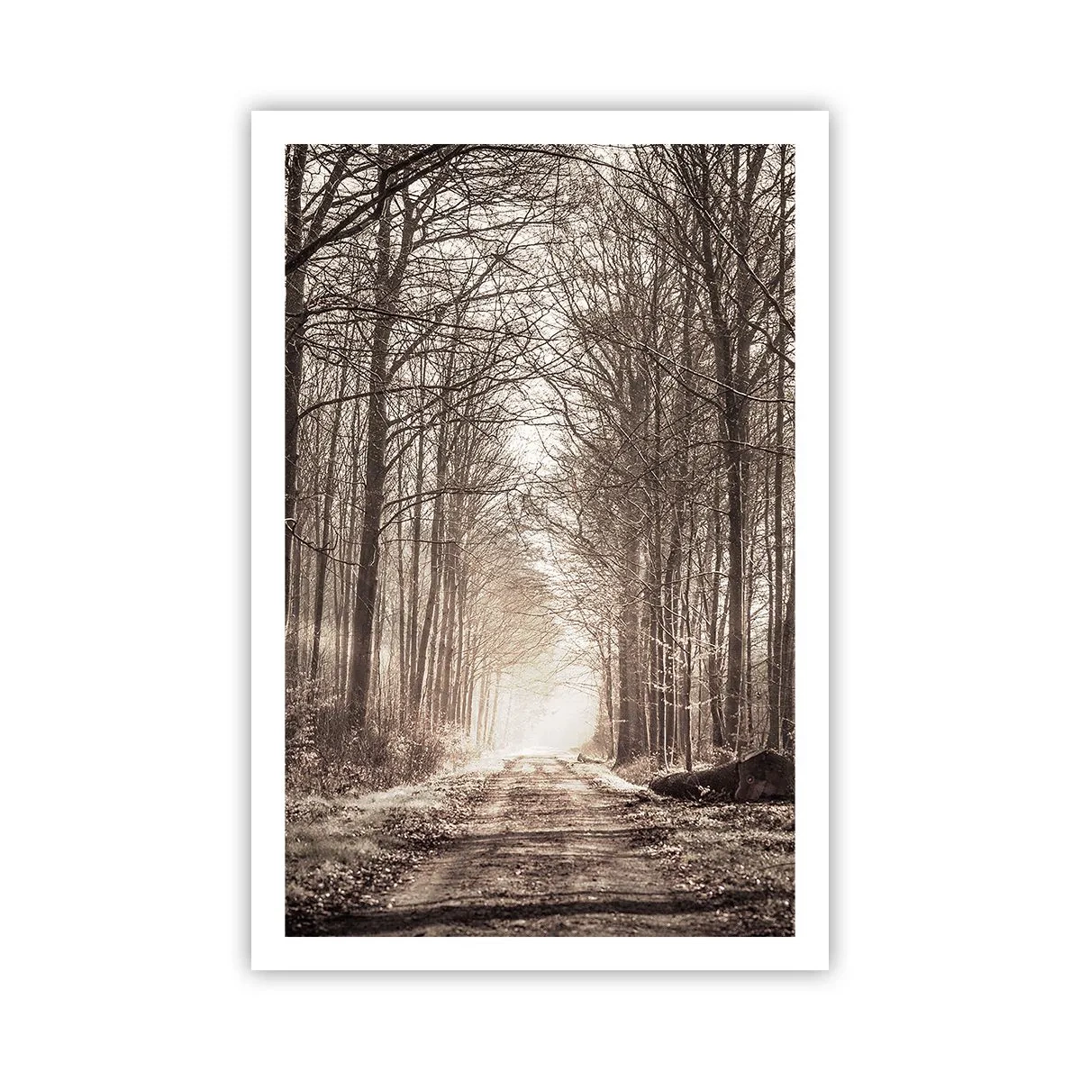 Poster - La cattedrale del bosco - 61x91 cm