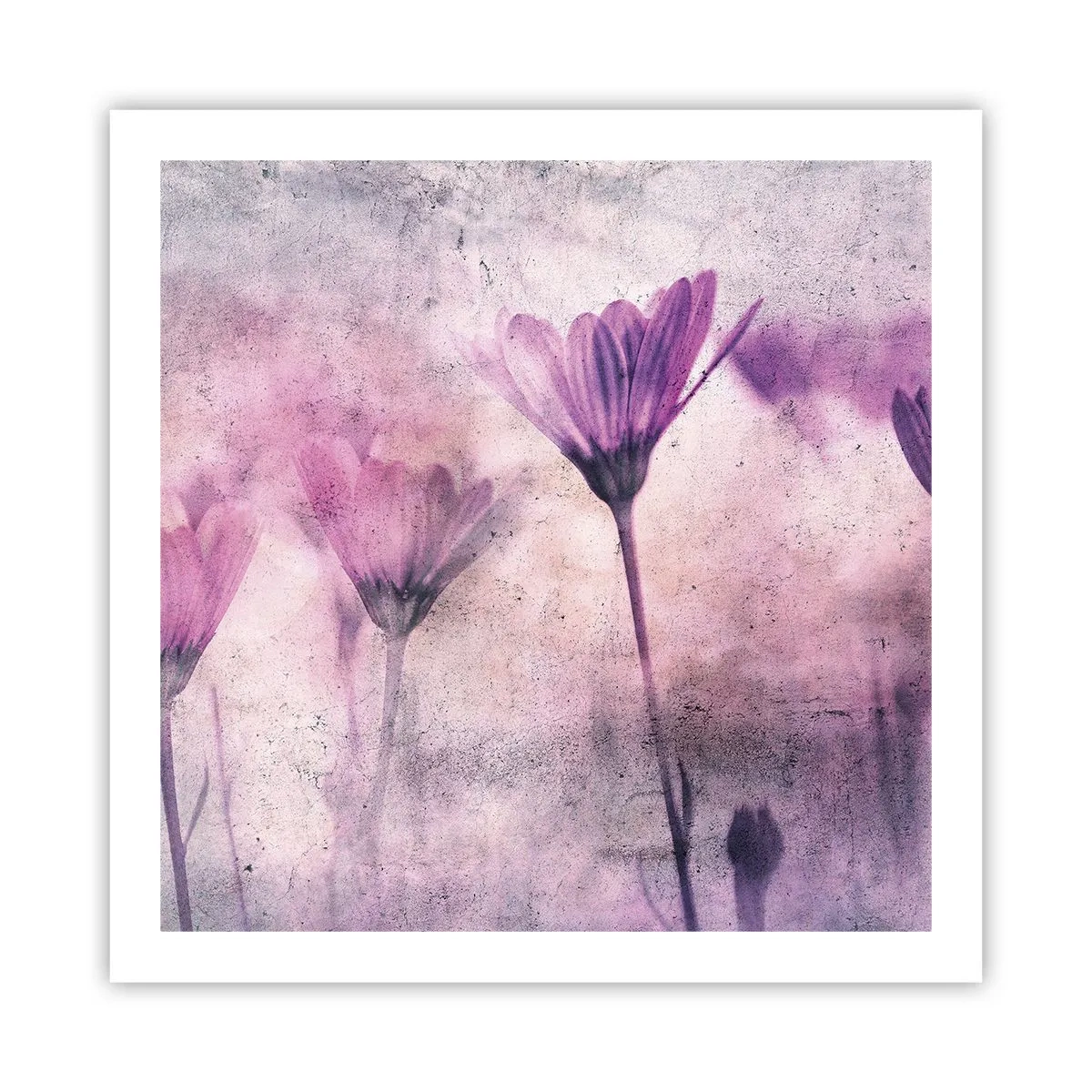 Poster - Il sogno dei fiori - 60x60 cm