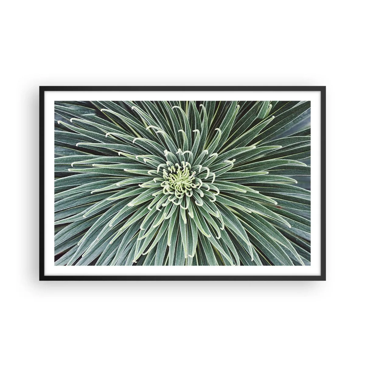 Poster in cornice nera - La nascita delle stelle - 91x61 cm