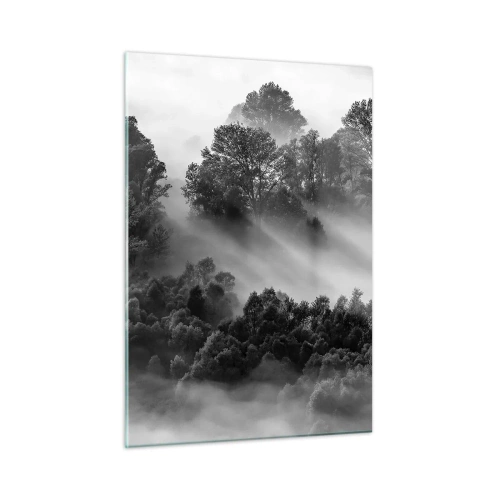 Quadro su vetro - Foresta nebbiosa alla luce del sole in bianco e nero - 50x70cm - Risveglio dal sonno - Decorazione murale moderna per soggiorno e camera da letto ARTTOR