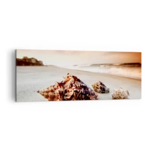 Quadro su tela - Stampe su Tela - Conchiglie sulla spiaggia al tramonto - 140x50cm - Esiliate dalle onde - Decorazione murale moderna per soggiorno e camera da letto ARTTOR