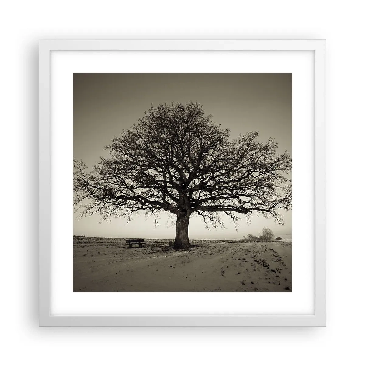 Poster in cornice bianca - Da qui all'eternità - 40x40 cm