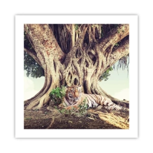 Poster - Vista dal Libro della Genesi - 50x50 cm