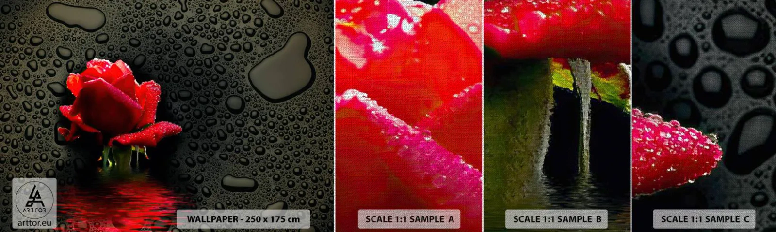 Campione di Fotomurale Premium Canvas - Rosso e nero - Fiori, Rosa, Acqua - 100x30 cm