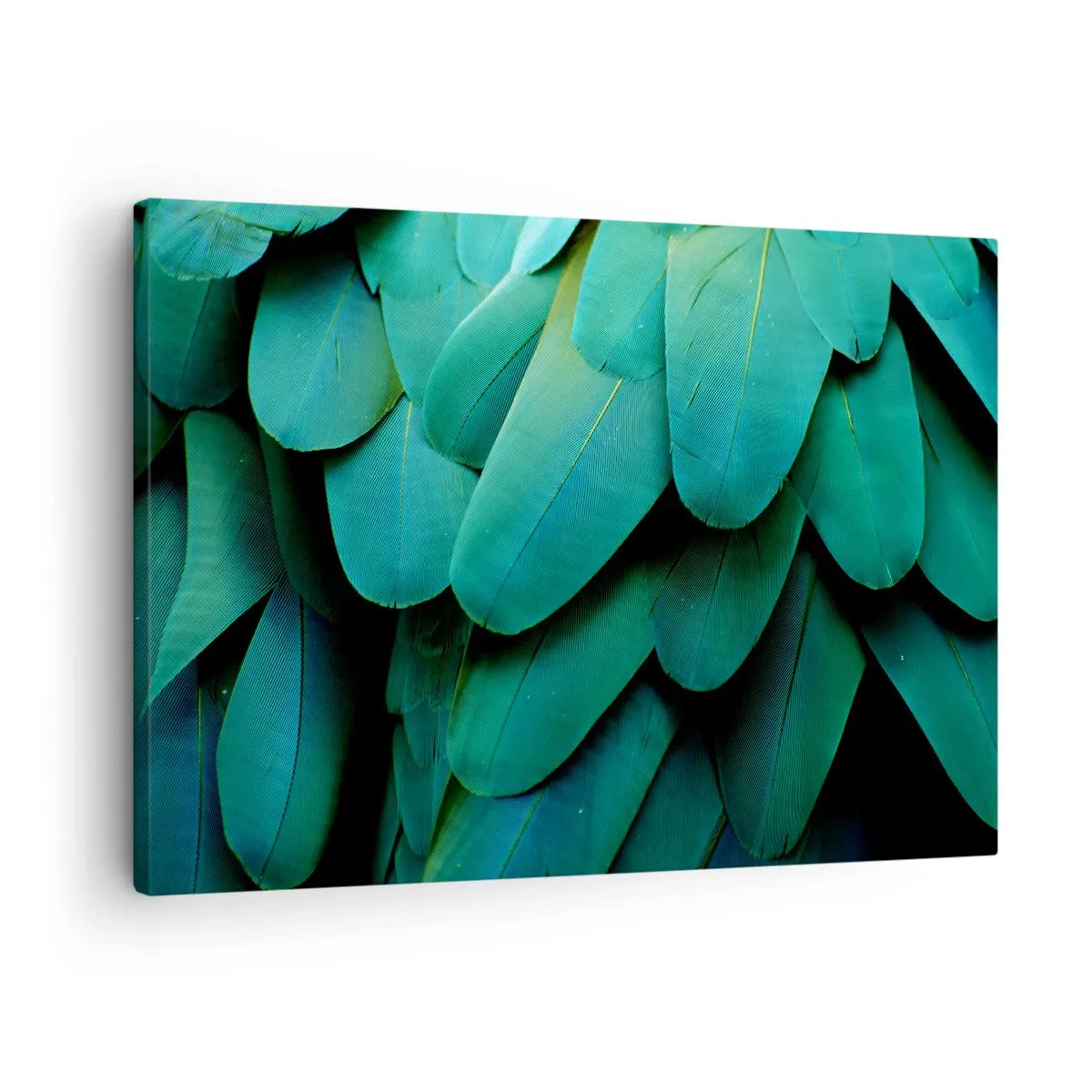 Quadro su tela - Stampe su Tela - Dettaglio di piume nei toni del verde - 70x50cm - Precisione da pappagallo - Decorazione murale moderna per soggiorno e camera da letto ARTTOR