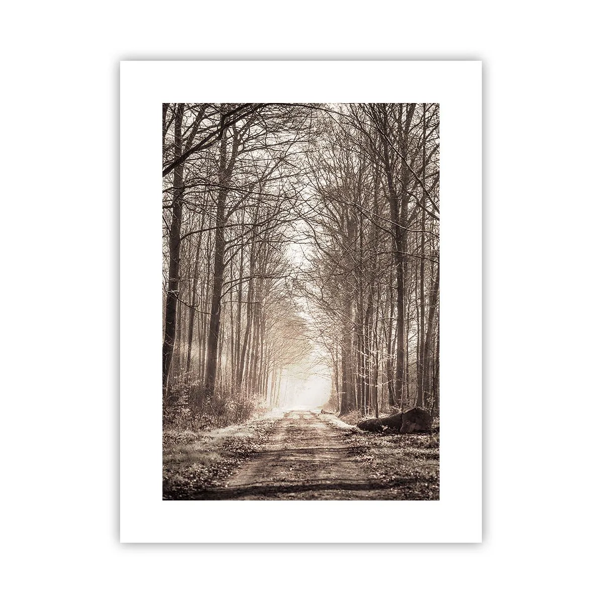 Poster - La cattedrale del bosco - 30x40 cm