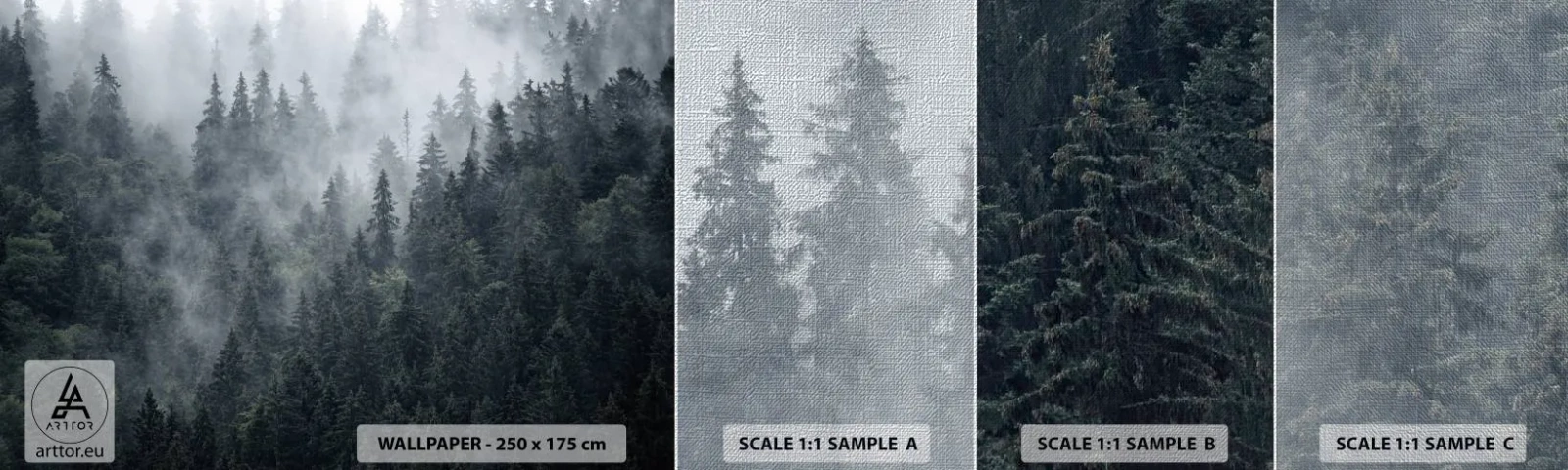 Campione di Fotomurale Premium Canvas - Alba nel bosco - Paesaggio, foresta, Natura - 100x30 cm