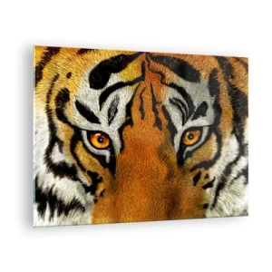 Quadro su vetro - Primo piano dello sguardo intenso della tigre - 70x50cm - Minacciosa e bella - Decorazione murale moderna per soggiorno e camera da letto ARTTOR