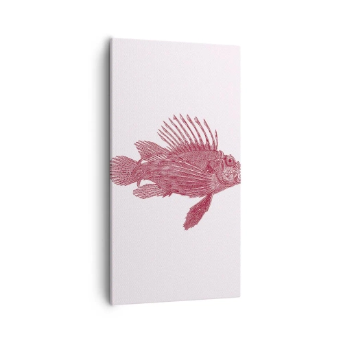 Quadro su tela - Stampe su Tela - Abitante di mari esotici - 55x100 cm