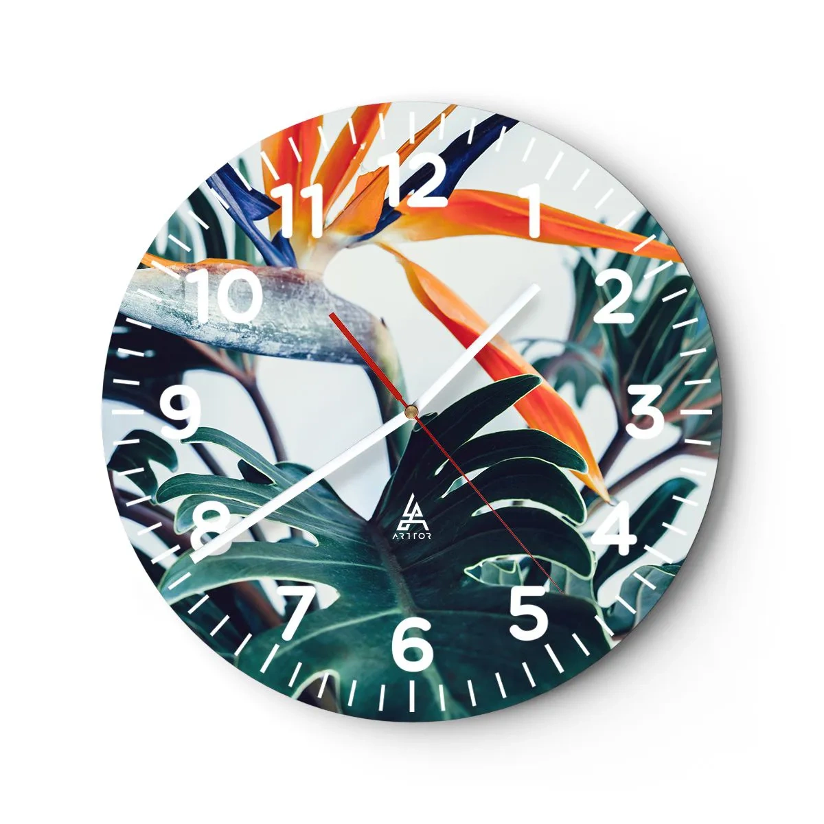 Orologio da parete - Orologio in Vetro - Pianta uccello - 30x30 cm