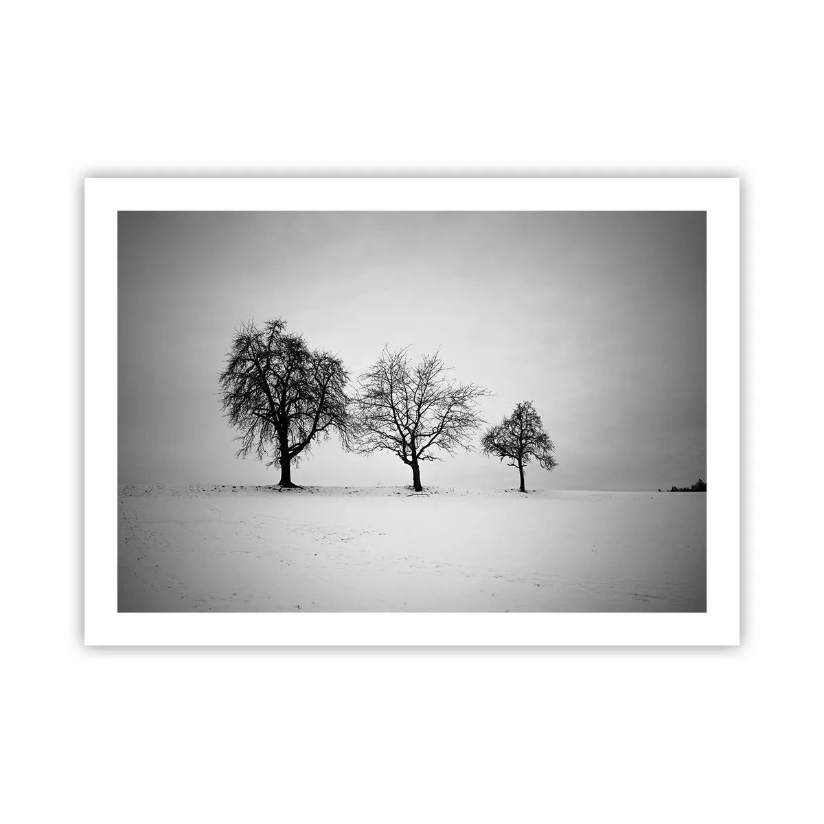 Poster - Cosa sognano? - 70x50 cm